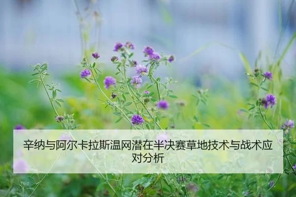 xin-na-yu-a-er-ka-la-si-wen-wang-qian-zai-ban-jue-sai-cao-di-ji-shu-yu-zhan-shu-ying-dui-fen-xi-2-577.jpg